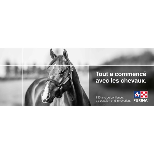 ÉQUIN TOUT A COMMENCÉ AVEC LES CHEVAUX 8x3 BANNIÈRE PURINA FRANÇAIS