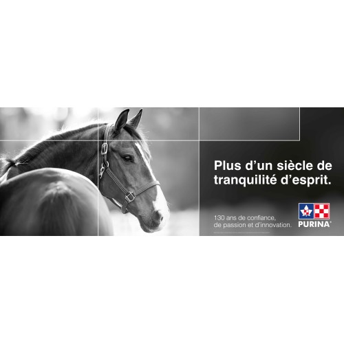  BANNIÈRE TRANQUILLITÉ D'ESPRIT ÉQUINE 8x3 PURINA FRANÇAIS