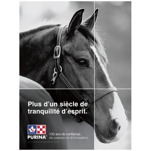  TRANQUILLITÉ D'ESPRIT ÉQUINE AFFICHE 18x24 PURINA FRANÇAIS