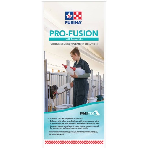 ANGLAIS, ROLL-UP PRO-FUSION, 33.75'' X 78.75''