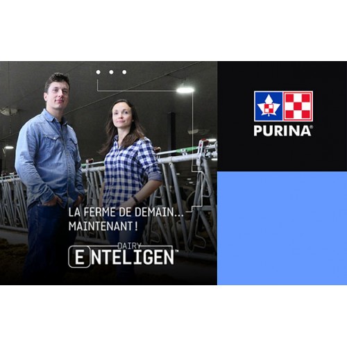 FRANÇAIS, PUBLICITÉ DE PURINA 8.5x5.5