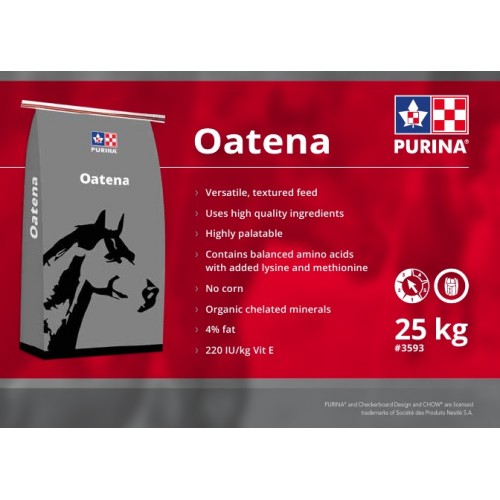 ANGLAIS, PUBLICATION OATENA