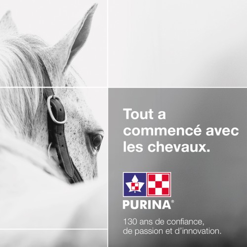 FRANCAIS, FACEBOOK CAMPAGNE TIMELESS PASSION