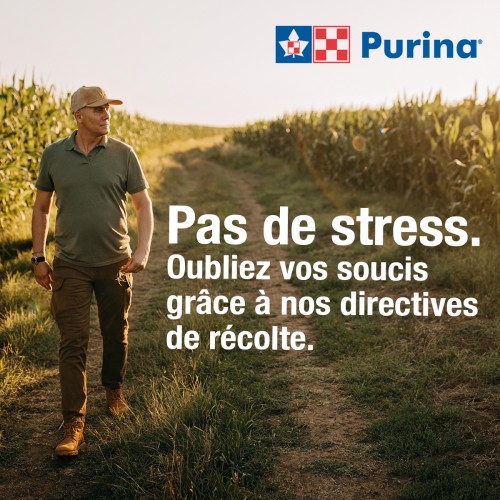 FRANCAIS, PUBLICATION PAS DE STRESS, PURINA