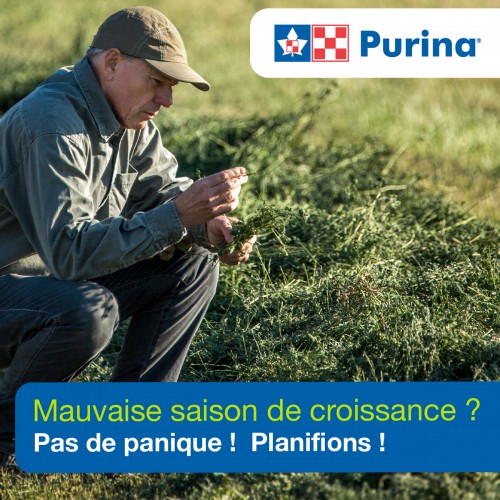 FRANCAIS, PUBLICATION PLANIFIONS, PURINA