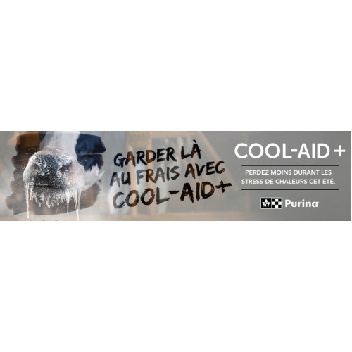 FRANCAIS, PUBLICITÉ COOL-AID+ PURINA