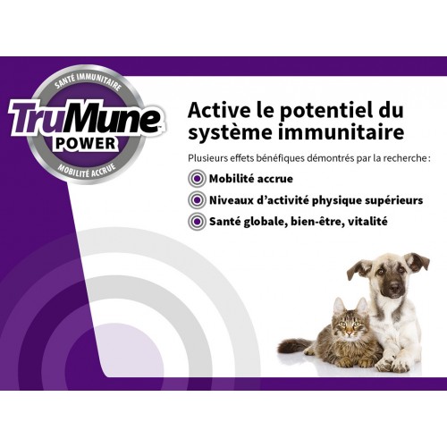 FRANCAIS, PUBLICATION TRUMUNE POWER