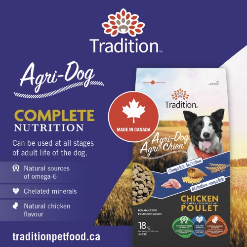 ANGLAIS, PUBLICATION AGRI-DOG ALL STAGES OF ADULT LIFE