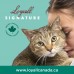 ANGLAIS, CAT & KITTEN GIF PUBLICATION 