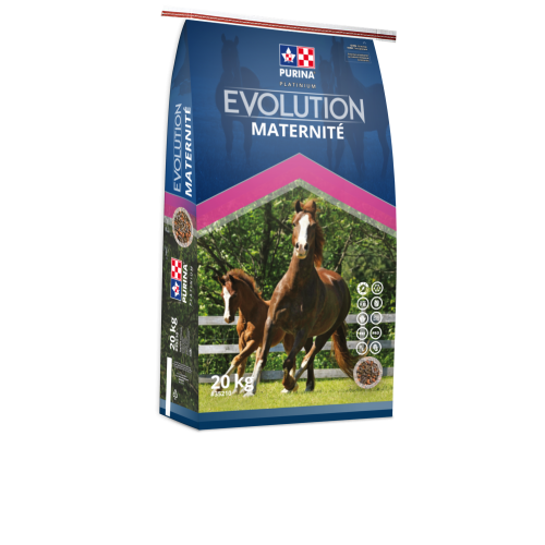 FRANCAIS, EVOLUTION MATERNITE, PURINA