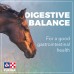 ANGLAIS, PUBLICATION DIGESTIVE BALANCE