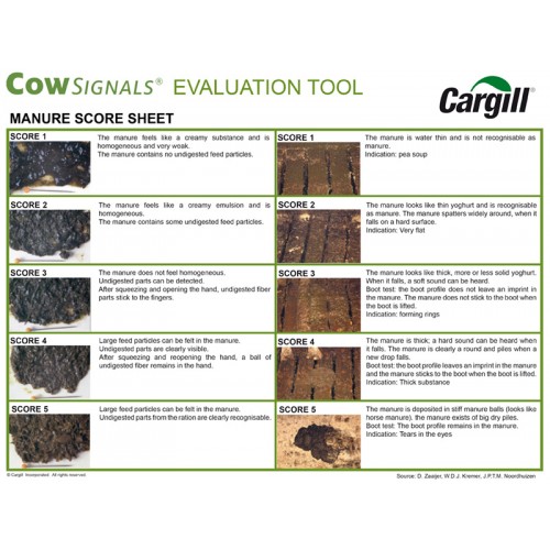 BILINGUE, FEUILLE EVALUATION TOOL COW SIGNAL CARGILL