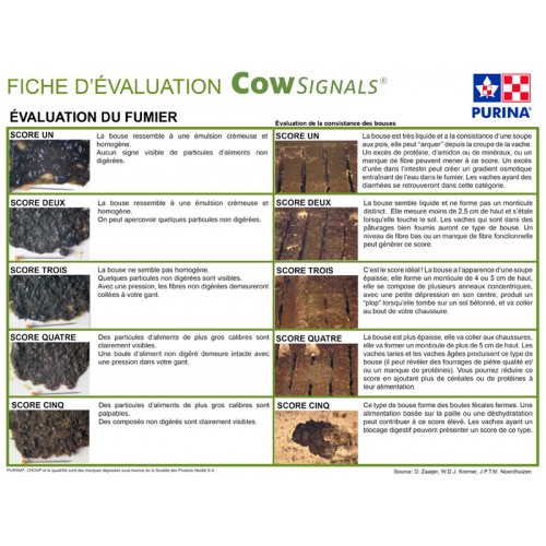 BILINGUE, FEUILLE EVALUATION TOOL COW SIGNAL PURINA