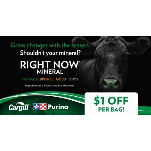 ANGLAIS, RIGHT NOW 4 PRODUCTS PURINA