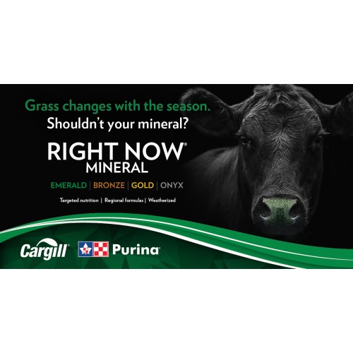 ANGLAIS, RIGHT NOW 4 PRODUCTS PURINA