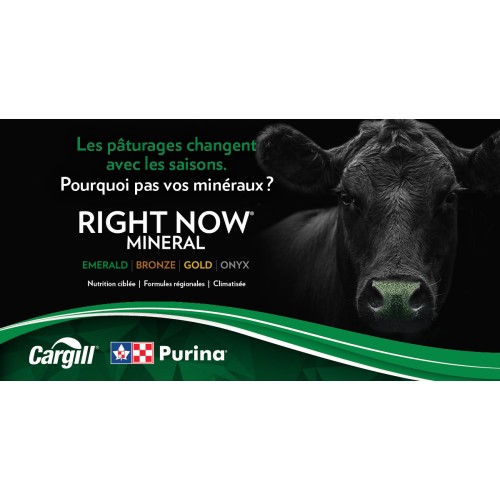 FRANCAIS, RIGHT NOW 4 PRODUCTS PURINA