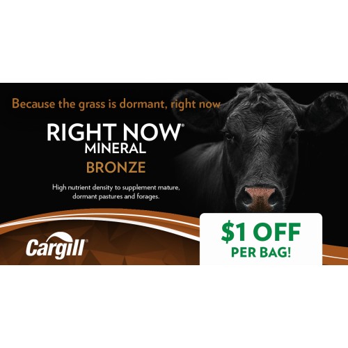 ANGLAIS, RIGHT NOW MINERAL BRONZE 1$ CARGILL