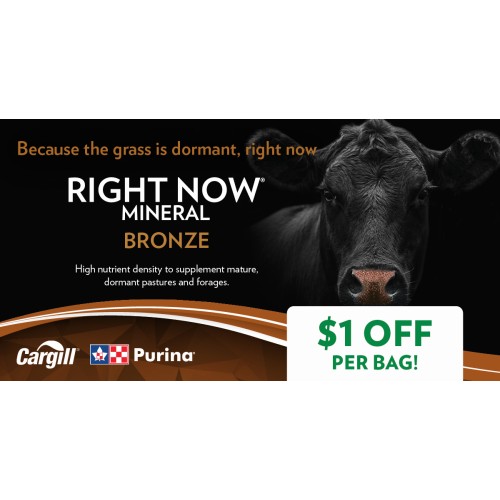 ANGLAIS, RIGHT NOW MINERAL BRONZE 1$ PURINA