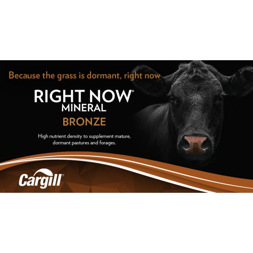 ANGLAIS, RIGHT NOW BRONZE CARGILL