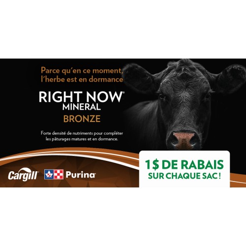 FRANCAIS, RIGHT NOW MINERAL BRONZE 1$ PURINA