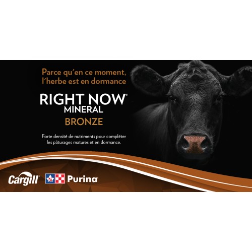 FRANCAIS, RIGHT NOW BRONZE PURINA