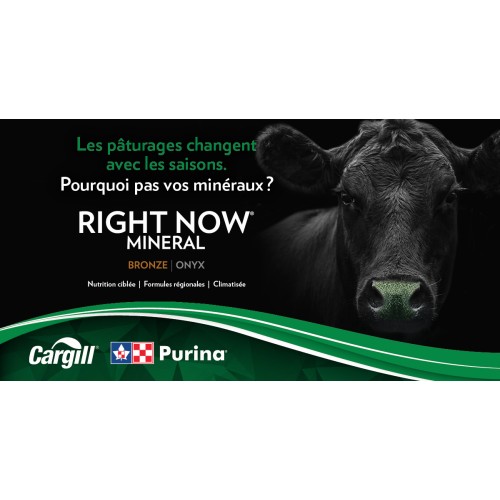 FRANCAIS, RIGHT NOW BRONZE ONYX PURINA