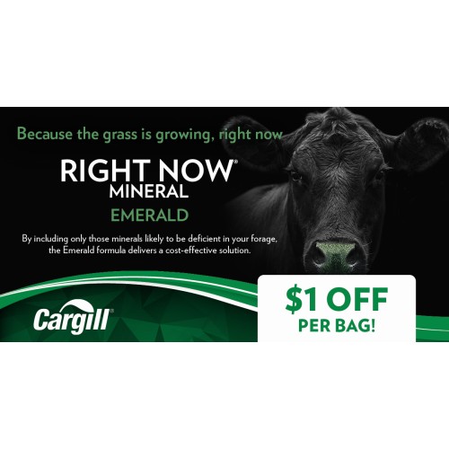 ANGLAIS, RIGHT NOW EMERALD CARGILL 1$