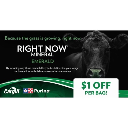 ANGLAIS, RIGHT NOW EMERALD PURINA 1$