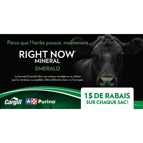 FRANCAIS, RIGHT NOW EMERALD PURINA 1$