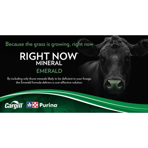 ANGLAIS, RIGHT NOW EMERALD PURINA