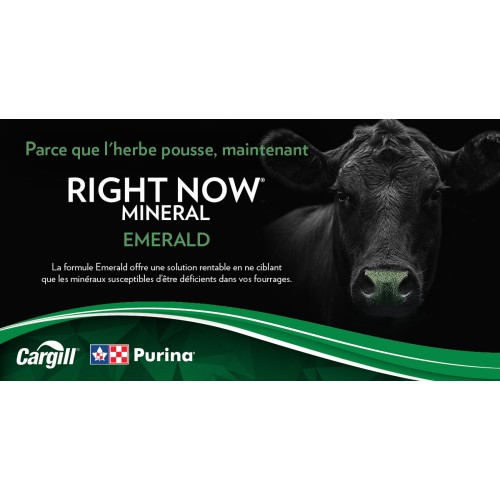 FRANCAIS, RIGHT NOW EMERALD PURINA