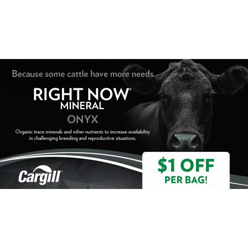 ANGLAIS, RIGHT NOW ONYX CARGILL 1$