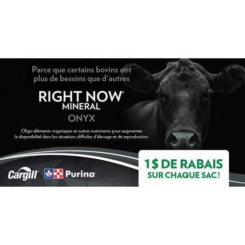 FRANCAIS, RIGHT NOW ONYX PURINA 1$