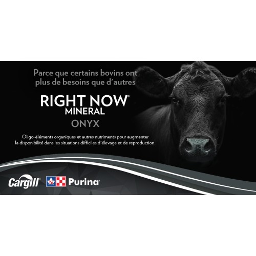 FRANCAIS, RIGHT NOW ONYX PURINA