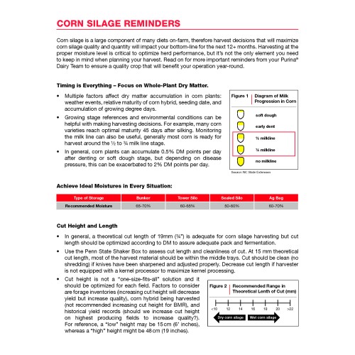 ANGLAIS, CORN SILAGE REMINDERS