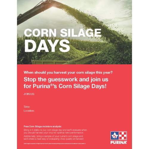 ANGLAIS, CORN SILAGE INVITE