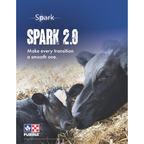 SPARK 2.0  DOSSIER ANGLAIS