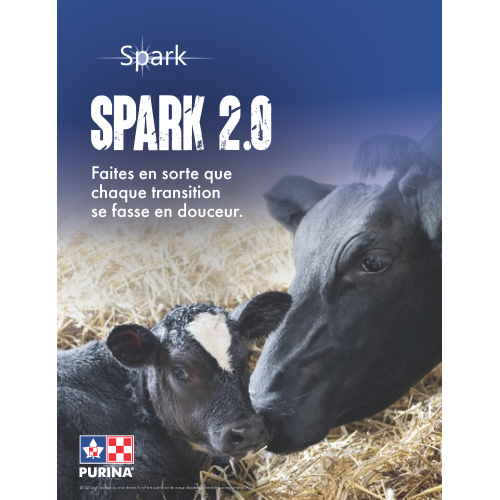 SPARK 2.0  DOSSIER FRANCAIS