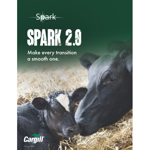 DOSSIER SPARK CARGILL ANGLAIS