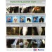 FRANCAIS, FICHE D'EVALUATION COW SIGNALS