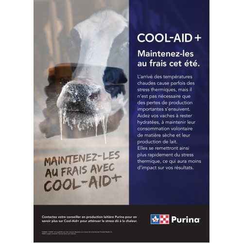 FRANCAIS, FLYER COOL-AID+ PURINA