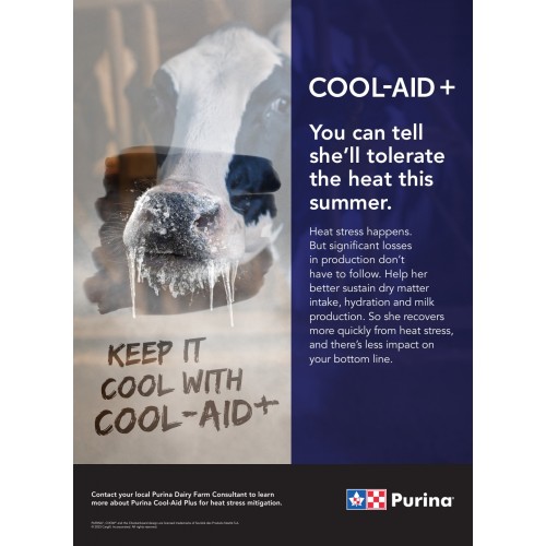 ANGLAIS, FLYER COOL-AID+ PURINA