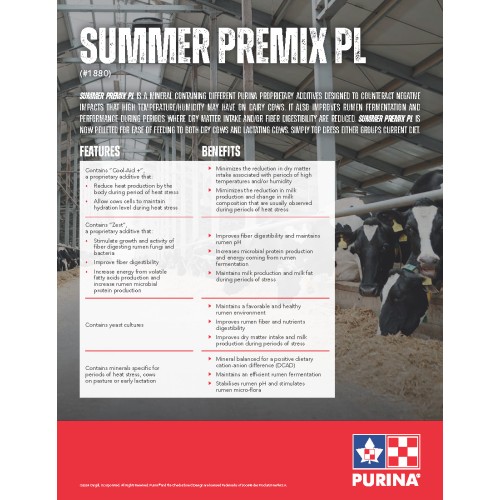 ANGLAIS, PREMIX PURINA