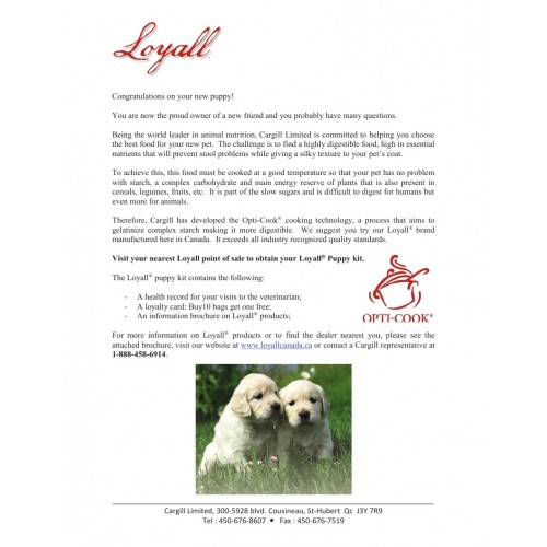  LOYALL PUPPY KIT LETTRE ANGLAIS