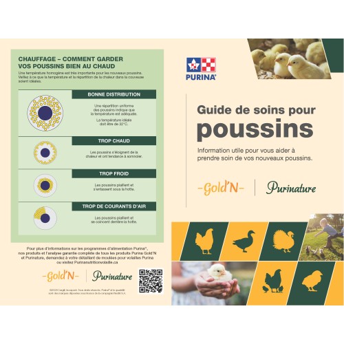 FRANCAIS, GUIDE DE SOINS POUR POUSSINS