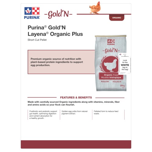 ANGLAIS, GOLD'N LAYENA ORGANIC PLUS