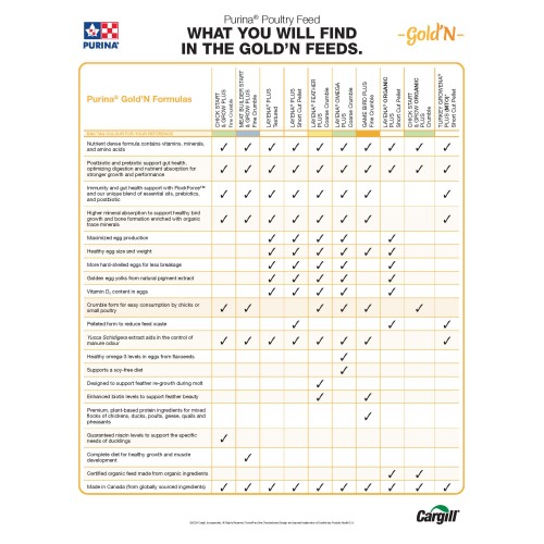 ANGLAIS, PAD DE 50 FEUILLES, ONE PAGER 