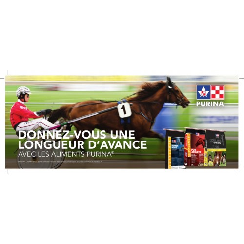 FRANCAIS, RACETRACK FLYER