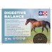 BILINGUE, FLYER DIGESTIVE BALANCE, 7x5