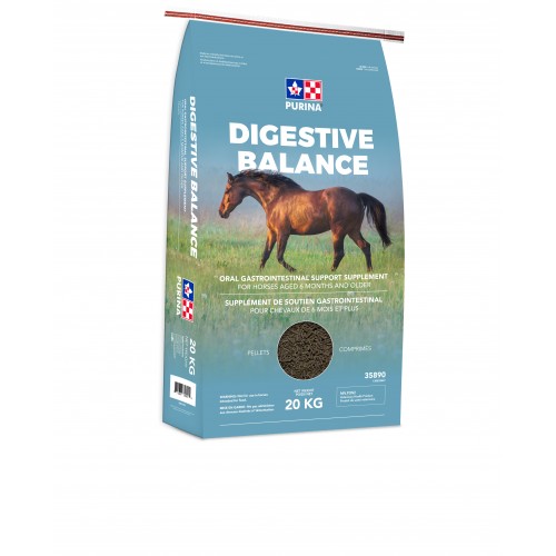 BILINGUE, DIGESTIVE BALANCE 20 KG